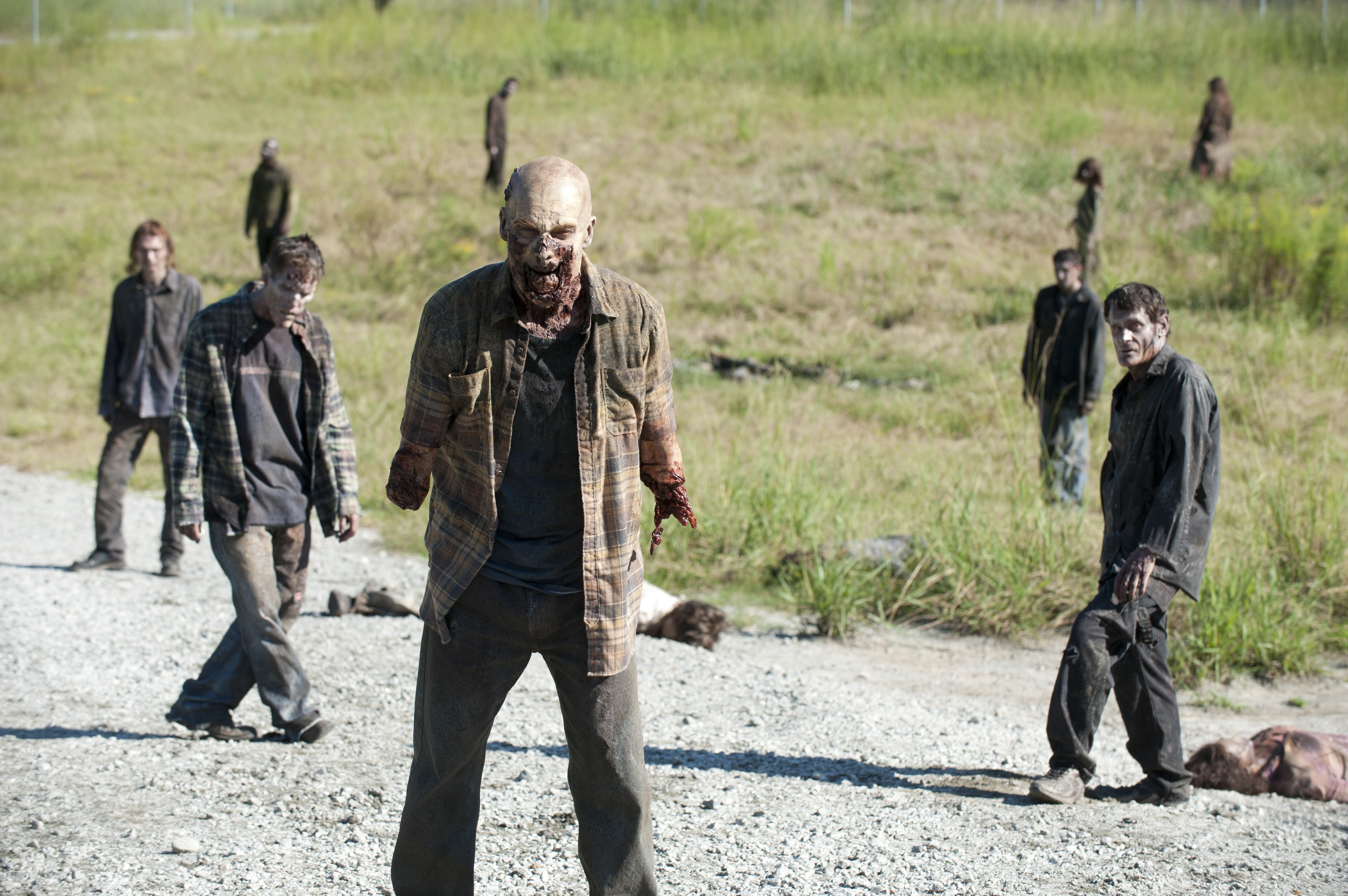 Walkers - The Walking Dead - Season 3, Episode 11 - Photo Credit: Gene Page/AMC