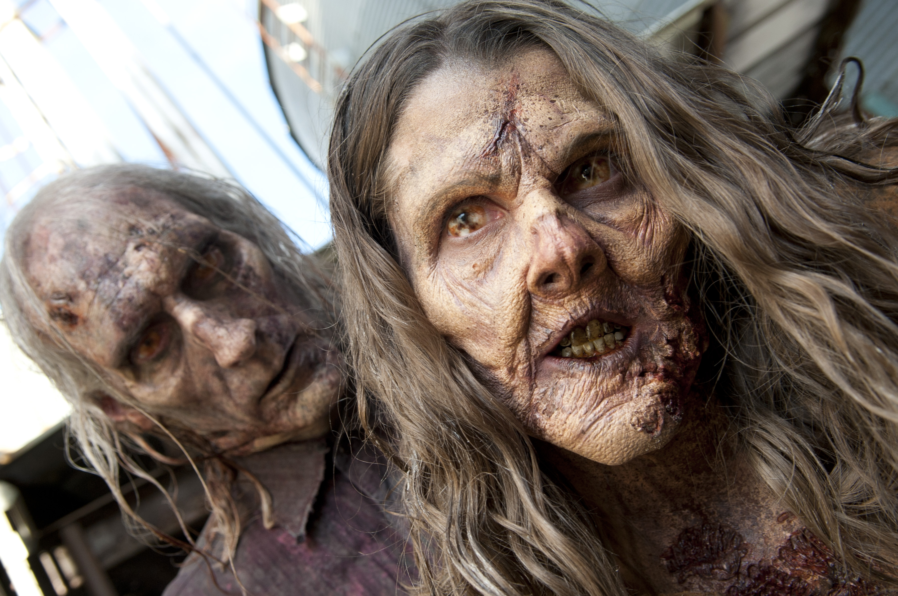 Walkers - The Walking Dead - Season 3, Episode 13 - Photo Credit: Gene Page/AMC