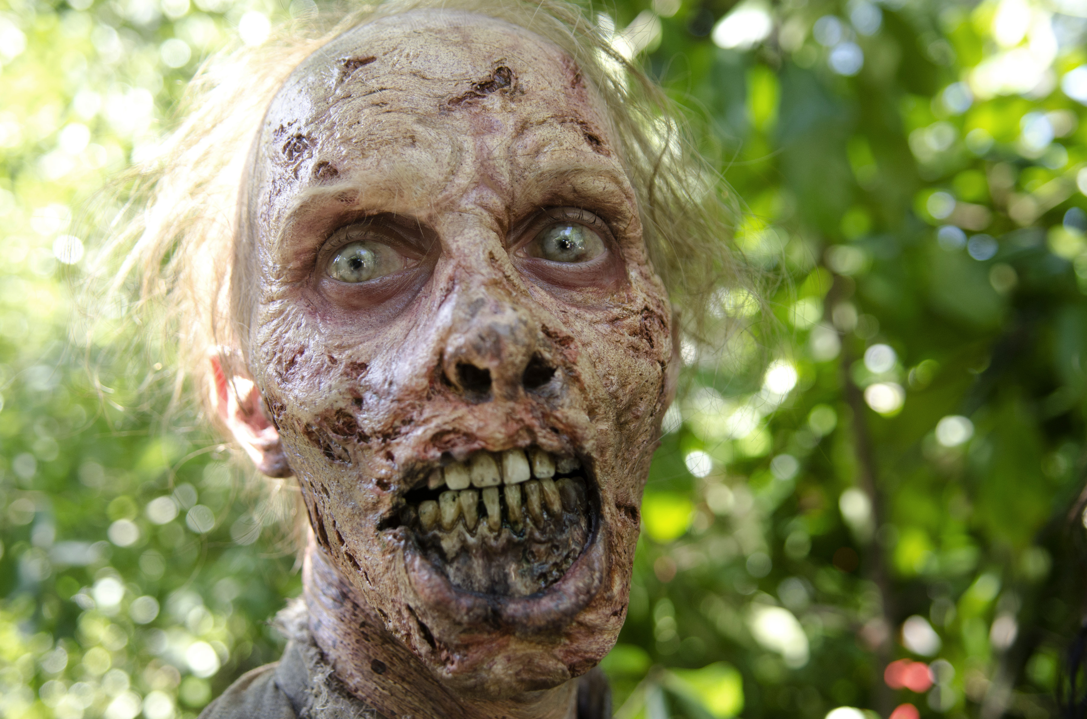 Walker - The Walking Dead _ Season 4, Episode 9 - Photo Credit: Gene Page/AMC
