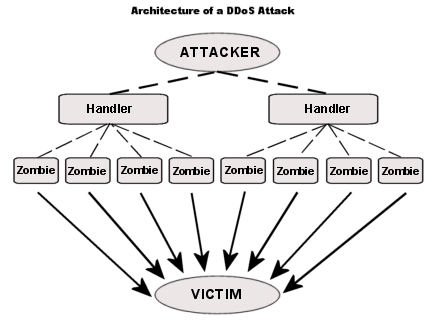 This is a basic model of a DDoS attack
