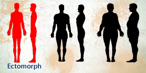 Ectomorph