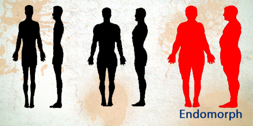 Endomorph