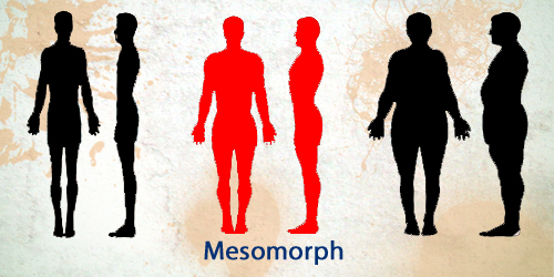 Mesomorph