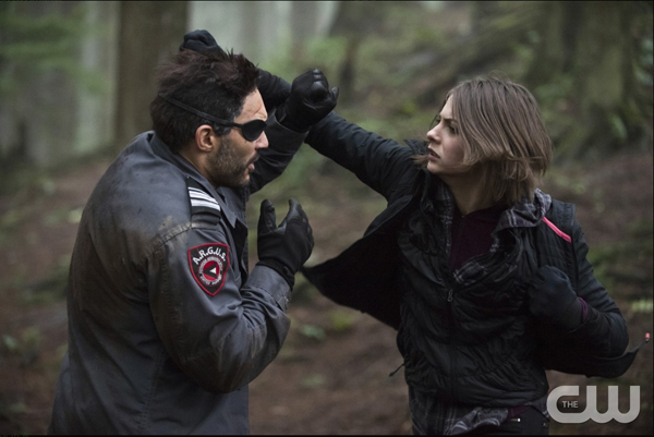 Arrow_314_AR314B_0023b