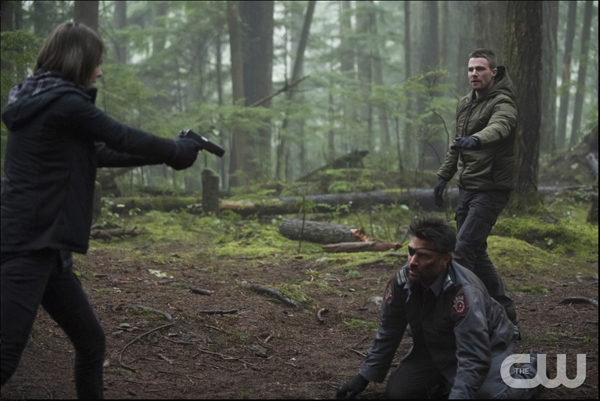 Arrow_314_AR314B_0118b