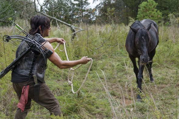 5dc15d06-30e0-cba9-6711-eb478ae46c2d_TWD_513_GP_1013_0030